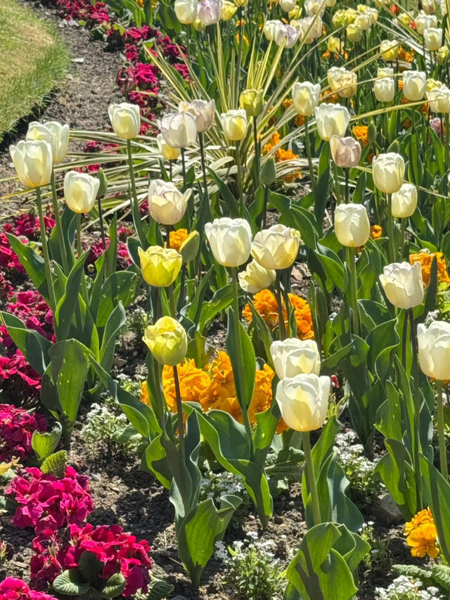 🇬🇧 London’s Secret Garden｜Guildford One-Day Trip