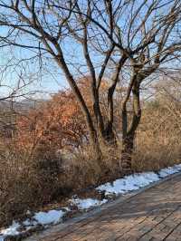 🇰🇷Welcome to DMZ bordering South and North Korea🇰🇷