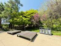 Hike Through The Magic of Hanyangdoseong