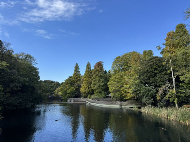 吉祥寺～東京值得花少一天好好遊玩的地方