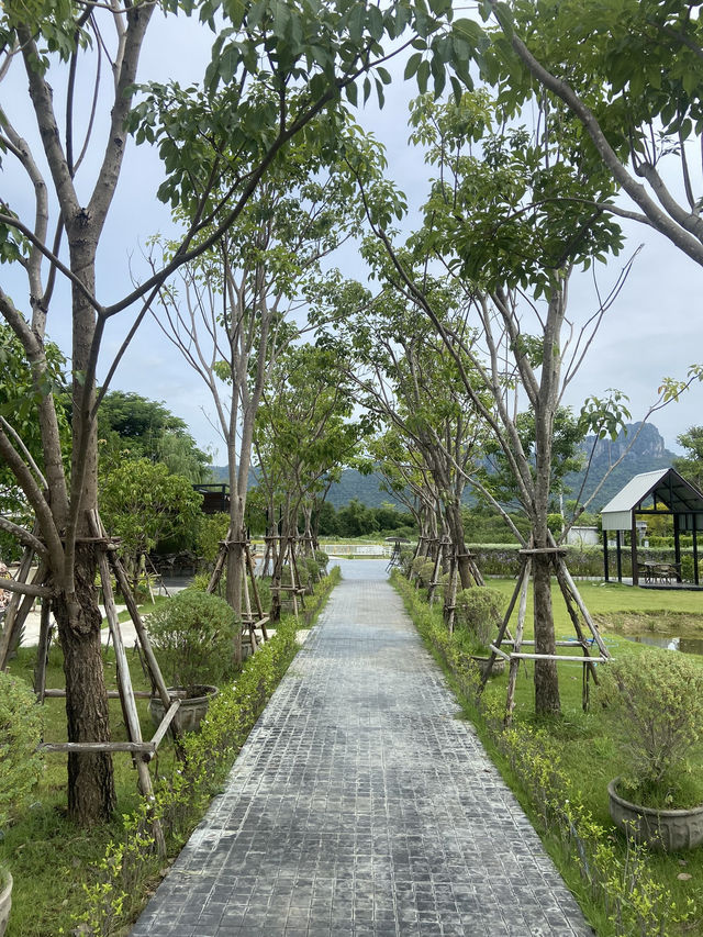 Anacolly Cafe & Bistro พิกัดลับ ลพบุรี