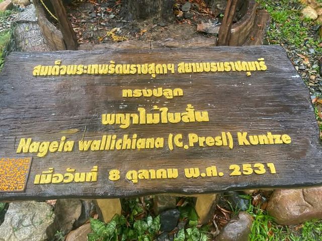 อุทยานแห่งชาติเขาสก