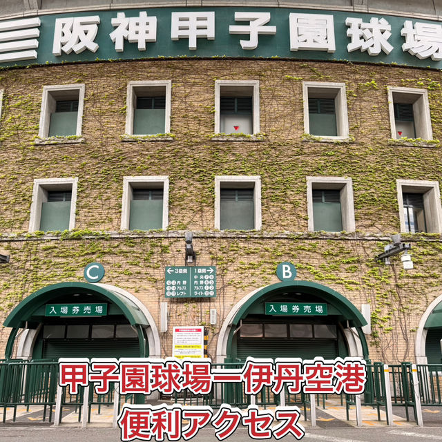 【甲子園球場】高アクセス✨甲子園ー伊丹空港直結バス🚌