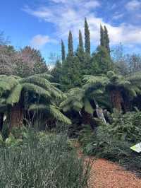 Bristol Botanic Garden | A Hidden Gem for Nature Lovers 🌿📸