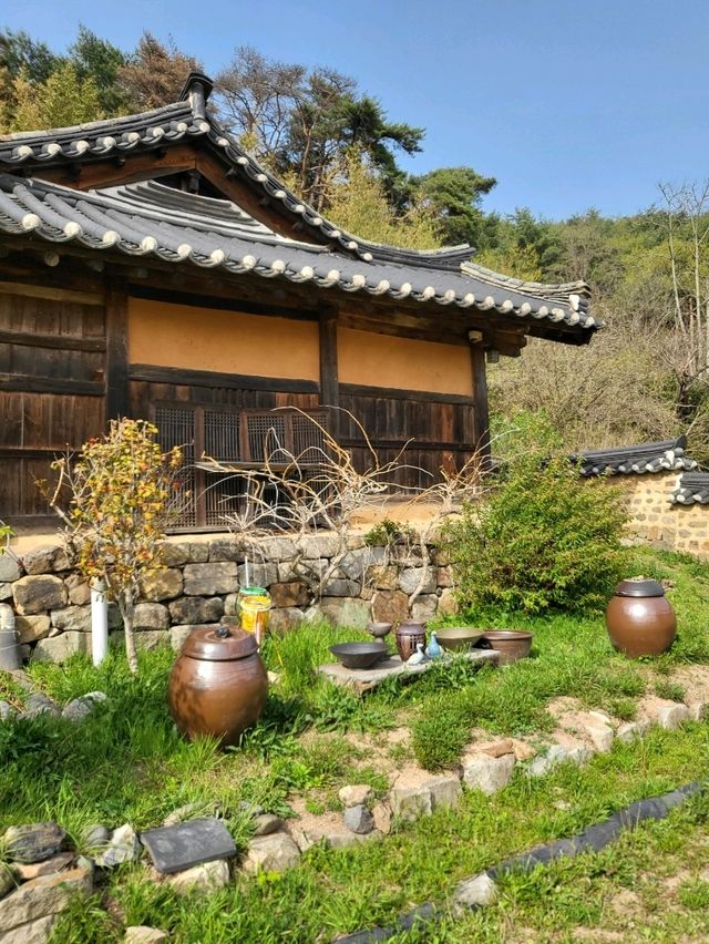 화과자 만들기 체험이 가능한 영덕여행코스