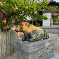 賽之神神社•靜謐中的神聖