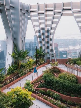 Singapore’s Hidden Sky Garden with Killer Views – CapitaSpring!
