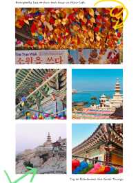 Lanterns Aglow by the Sea: Celebrating Vesak at Haedong Yonggungsa Temple