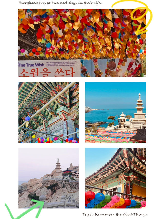 Lanterns Aglow by the Sea: Celebrating Vesak at Haedong Yonggungsa Temple