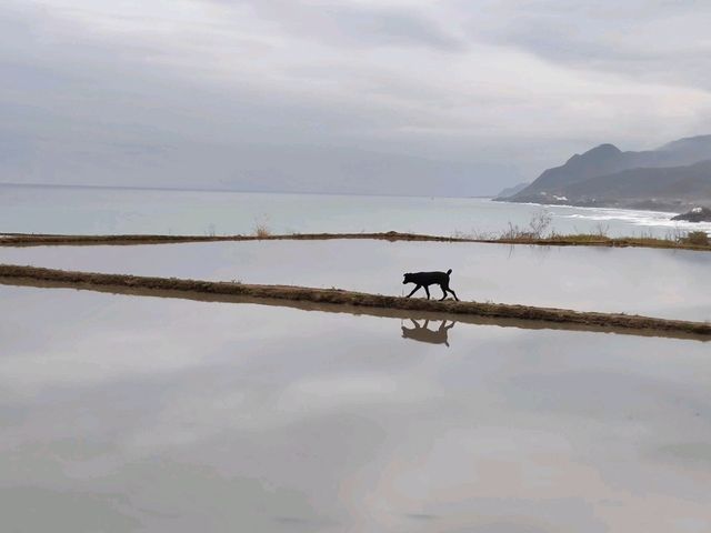 #新社梯田-花蓮縣豐濱鄉