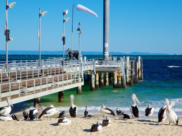 🏖️🌊 Brisbane Beach Getaway: Sand, Sun & Secret Spots