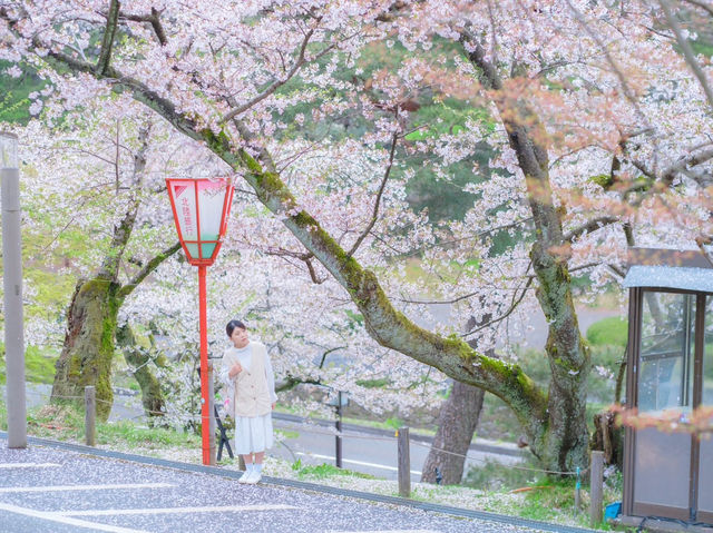 KANAZAWA | KYOTO THU NHỎ