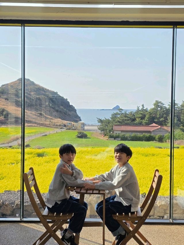 유채꽂뷰가 포인트!