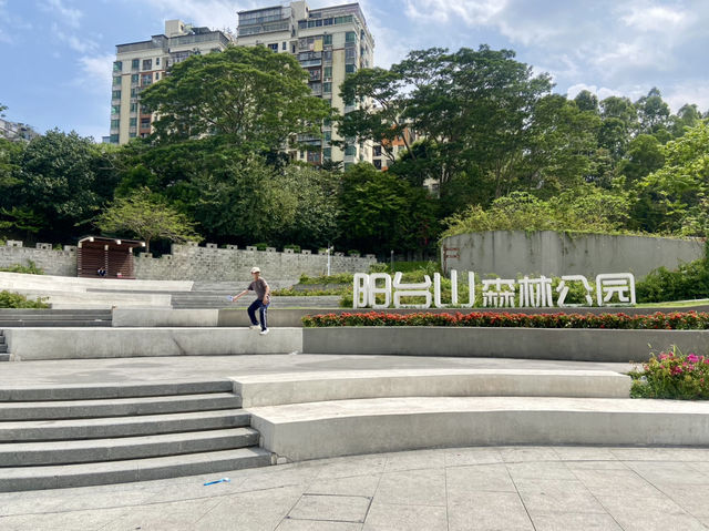 城市中的⛰️陽台山森林公園✨體驗自然風光行程推薦🏞️ 