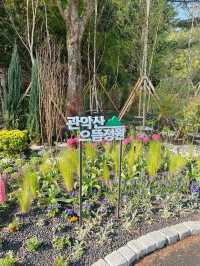 날씨가 좋은 날에 가기 좋은 등산코스🌳