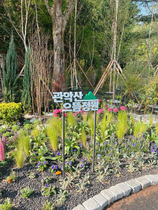 날씨가 좋은 날에 가기 좋은 등산코스🌳