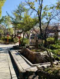 Tranquility in Kyoto – A Temple Garden Stroll