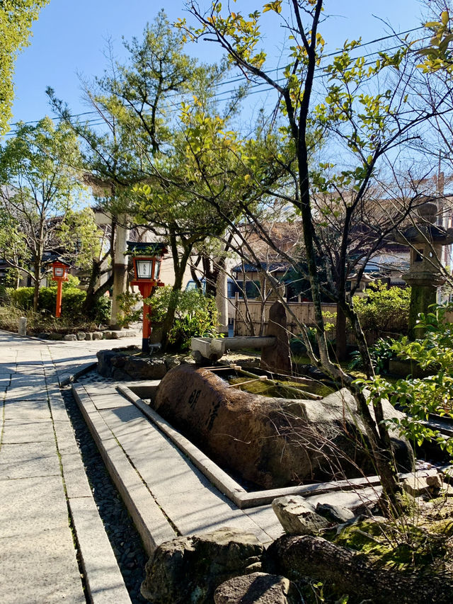 Tranquility in Kyoto – A Temple Garden Stroll
