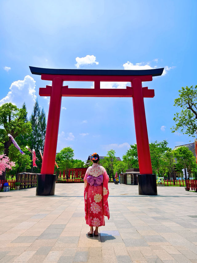 🇹🇭Chiangmai Hidden Gem with Japan vibes 