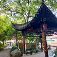 🌳運糧鄰畔公園🌳恬靜之美 🌅