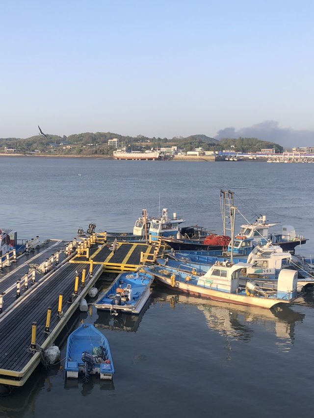 강화도 바다의 신선함을 한 점에, 대성호에서 즐기는 진짜 회 한상 🐟🌊