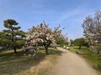 Hamarikyu Garden Stroll