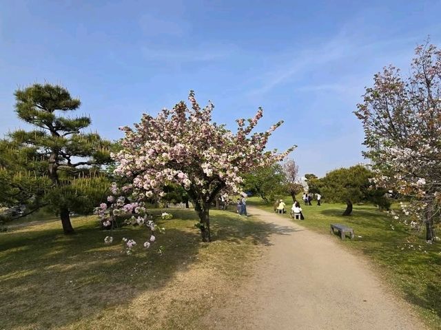 Hamarikyu Garden Stroll