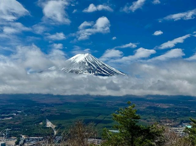 A Scenic Escape, Stunning Views and Peaceful