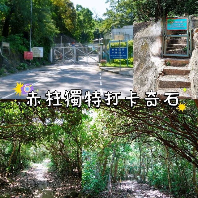 赤柱奇石打卡行山路線🦏