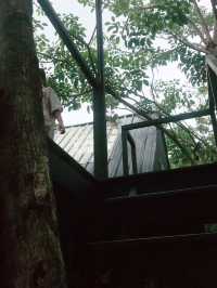 top ten forest อ่างทองใกล้ฉัน 