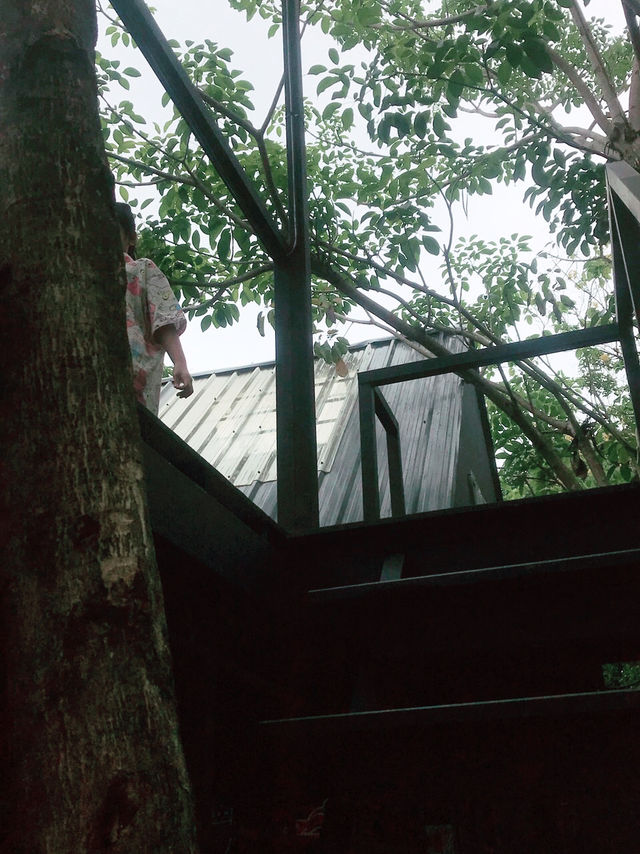 top ten forest อ่างทองใกล้ฉัน 