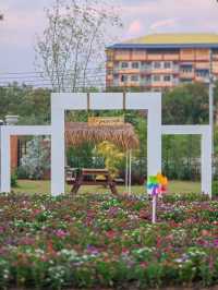 คาเฟ่สวนดอกไม้ฉะเชิงเทรา