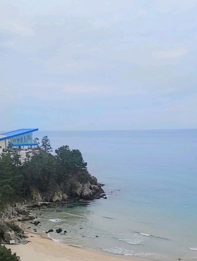 삼척바다뷰맛집 쏠비치[산토리니광장] 
