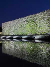 花と光の楽園 あしかがフラワーパーク　満開の藤のライトアップ！