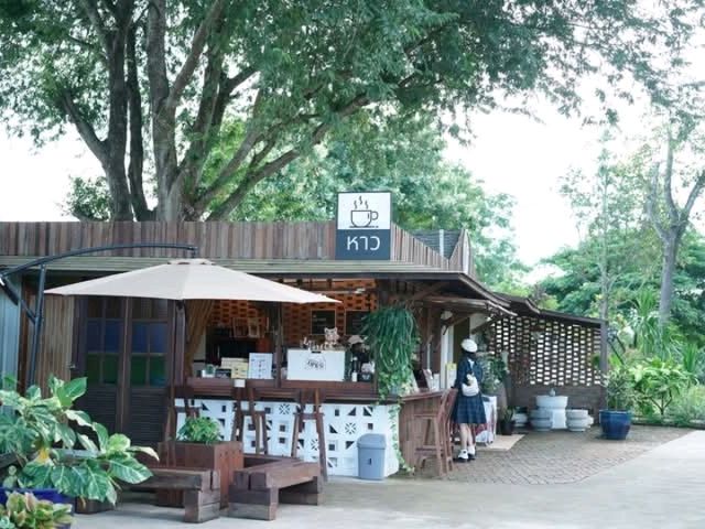 คาเฟ่และที่พักลานกางเต๊นท์กลางเขาวังน้ำเขียว
