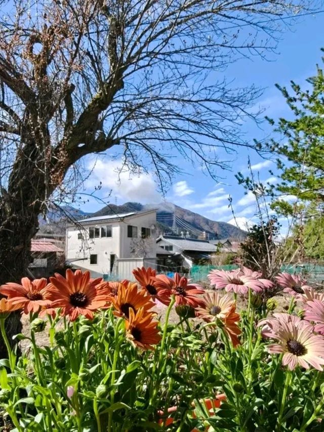 Fujiyoshida – Gateway to Fuji’s Sacred Side
