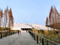 四川 | 金沙遺址博物館，探索古蜀文化的神秘面紗