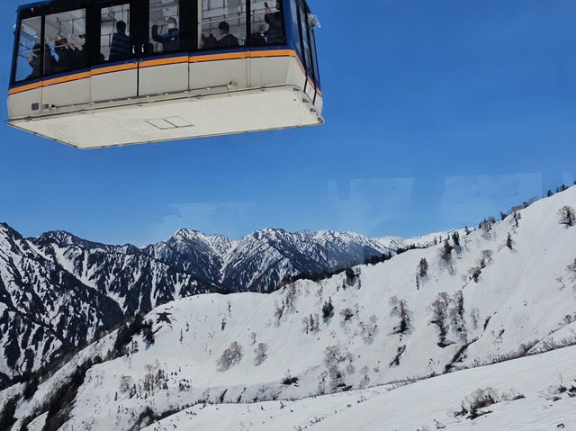 立山黑部🇯🇵 5月開山遊 🚠🏔️