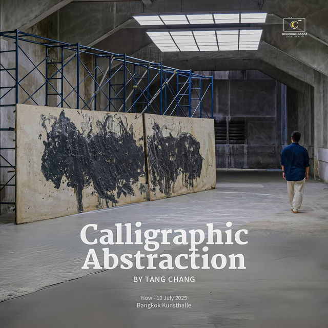 Calligraphic Abstraction