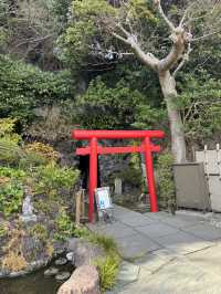 Hasedera Temple ✨ วัดเก่าแก่ในเมือง Kamakura