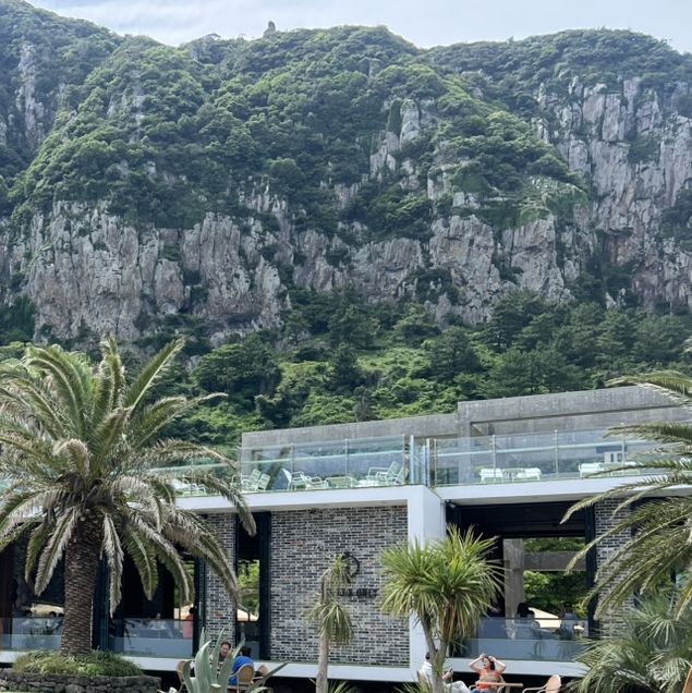 제주도 카페 투어 여행