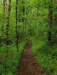 Appalachian Trail – USA 