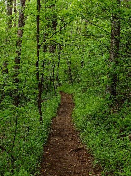 Appalachian Trail – USA 
