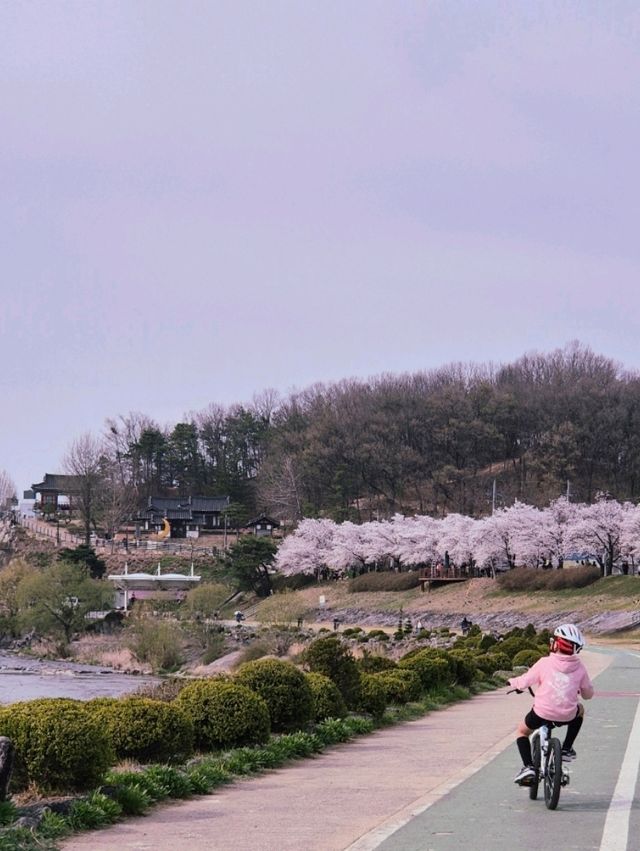 아이와영주자전거여행어때?