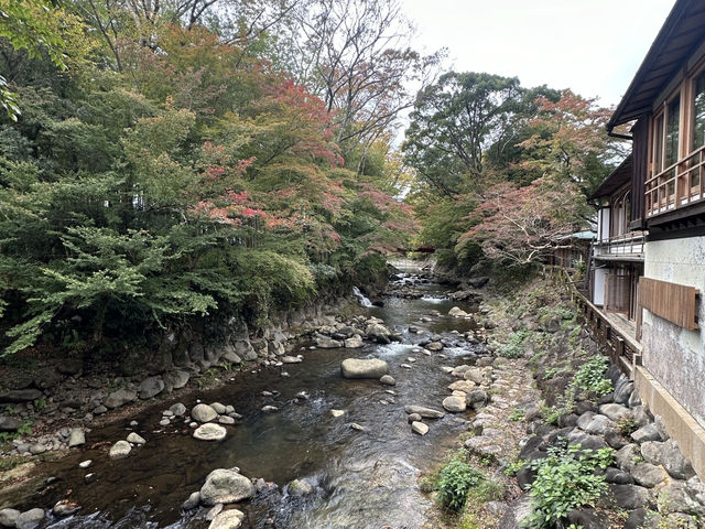 Tokko no Yu: Soaking in Shuzenji's Legendary Waters