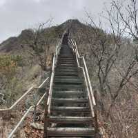 계룡산 코스 : 갑사, 삼불봉, 관음봉, 은산폭포까지 정복🌳