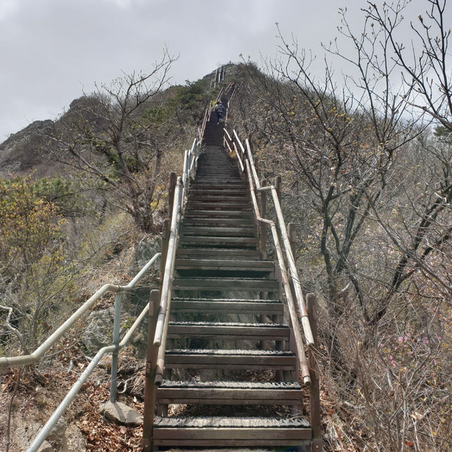 계룡산 코스 : 갑사, 삼불봉, 관음봉, 은산폭포까지 정복🌳