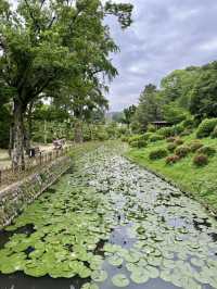 Art & Café Hopping in Dogo – Glass, Gardens & Great Views