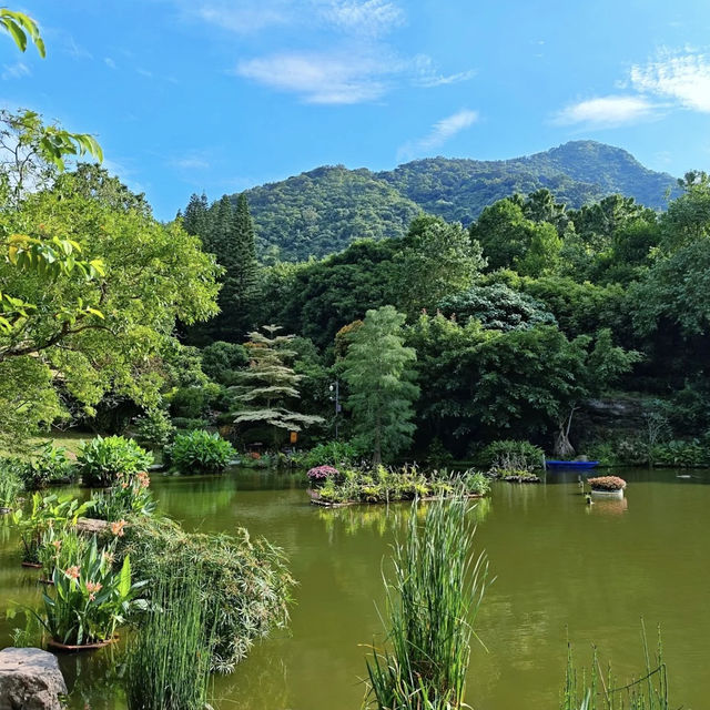 ~端午節快樂~席帽山森林公園~