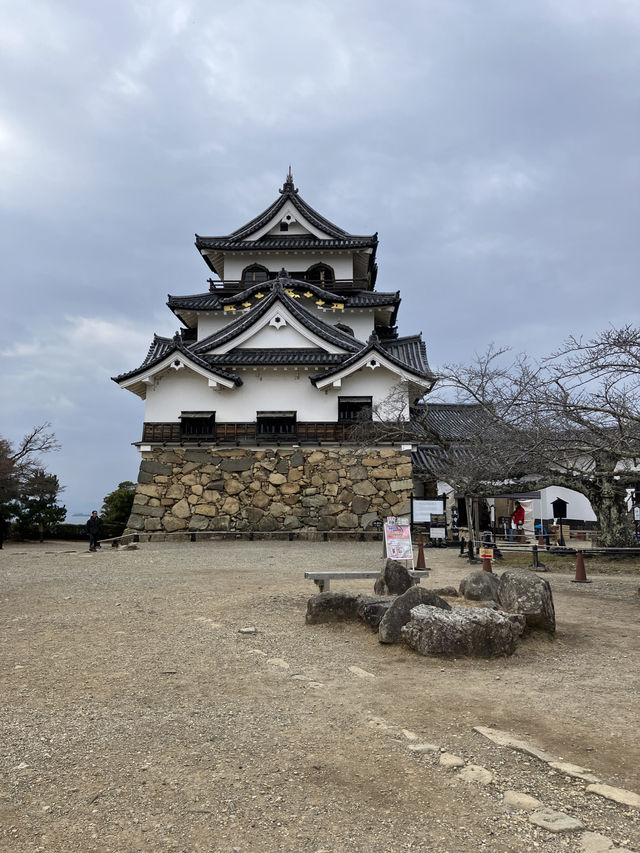 彦根城へ行って、ひこにゃんに会ってきた！